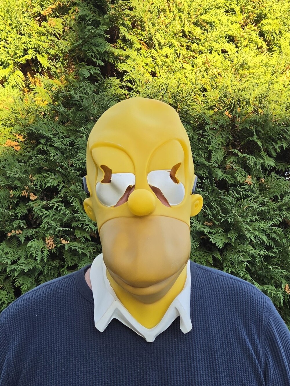Homer Simpson Yellow Character Mask - Men's Costume Accessory 1999